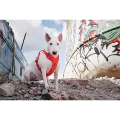 Hurtta Weekend Warrior Eco Harness -HondenTopDeals hurtta weekend warrior eco harness 189132 0500 none