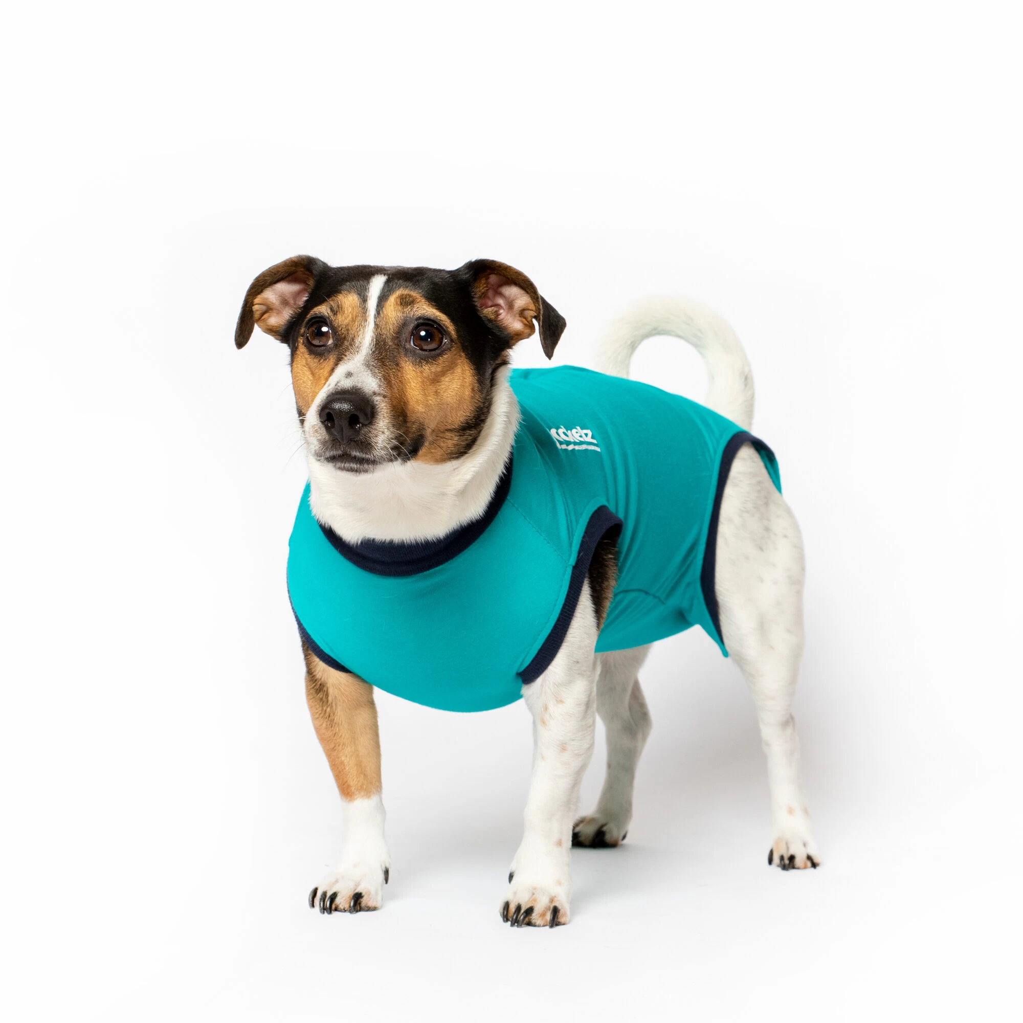 Jacketz Medical Body Suit Hond 8 Jacketz Medical Body Suit Hond - Afbeelding 8
