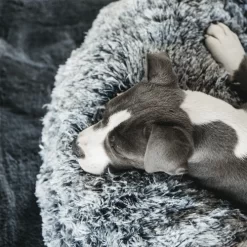 Kentucky Dogwear Comfort Donut Hondenmand -HondenTopDeals kentucky dogwear comfort donut hondenmand 219723 0500 none