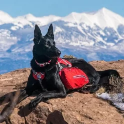 Kurgo Baxter Backpack -HondenTopDeals kurgo baxter backpack 222793 0500 none