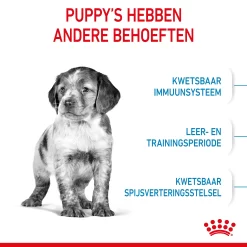Royal Canin Medium Puppy - Hondenvoer -HondenTopDeals lt28YBAolKIyLd7odwjG2QqWXbokYZ metaUm95YWwtQ2FuaW4tUHVwcHktTWVkaXVtXzAzLmpwZw