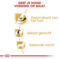 Royal Canin Cavalier King Charles Adult - Hondenvoer 13 Royal Canin Cavalier King Charles Adult - Hondenvoer -HondenTopDeals m17vF34IMd6faEs4mRthqSVeV8N2qC metaUm95YWwtQ2FuaW4tQ2F2YWxpZXItS2luZy1DaGFybGVzLUFkdWx0XzA0LmpwZw