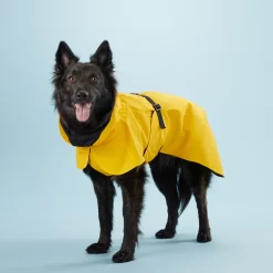 PAIKKA Visibility Raincoat Lite Yellow -HondenTopDeals mW2Bw3791R8VnpD5P3PKMJkiXIFNZn metaUGFpa2thLVZpc2liaWxpdHktUmFpbmNvYXQtTGl0ZS1ZZWxsb3c0LmpwZw