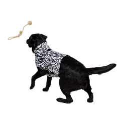 Medical Pet Top Shirt - Zebraprint -HondenTopDeals medical pet top shirt zebraprint 150701 1000 none