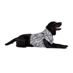 Medical Pet Top Shirt - Zebraprint -HondenTopDeals medical pet top shirt zebraprint 150704 1000 none