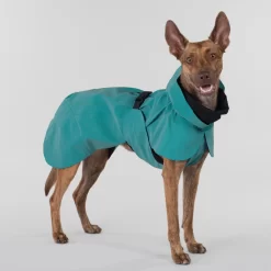 PAIKKA Visibility Raincoat Emerald 29 PAIKKA Visibility Raincoat Emerald -HondenTopDeals paikka visibility raincoat emerald 222162 2000 none