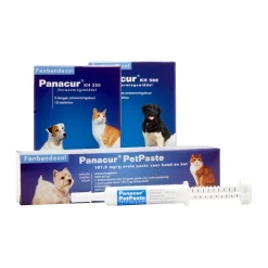 Panacur - Hond & Kat -HondenTopDeals panacur hond en kat 88405 1000 none