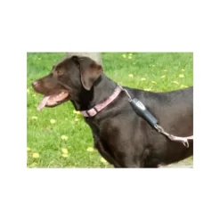 PatentoPet Dog E-walk Basic -HondenTopDeals patentopet dog e walk basic 219310 0500 none