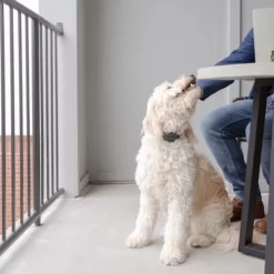 PetSafe Anti-Blafhalsband -HondenTopDeals petsafe anti blafhalsband 208109 0500 none