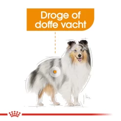 Royal Canin Coat Care Wet - Hondenvoer 13 Royal Canin Coat Care Wet - Hondenvoer -HondenTopDeals prod 8914 131804 1000 none