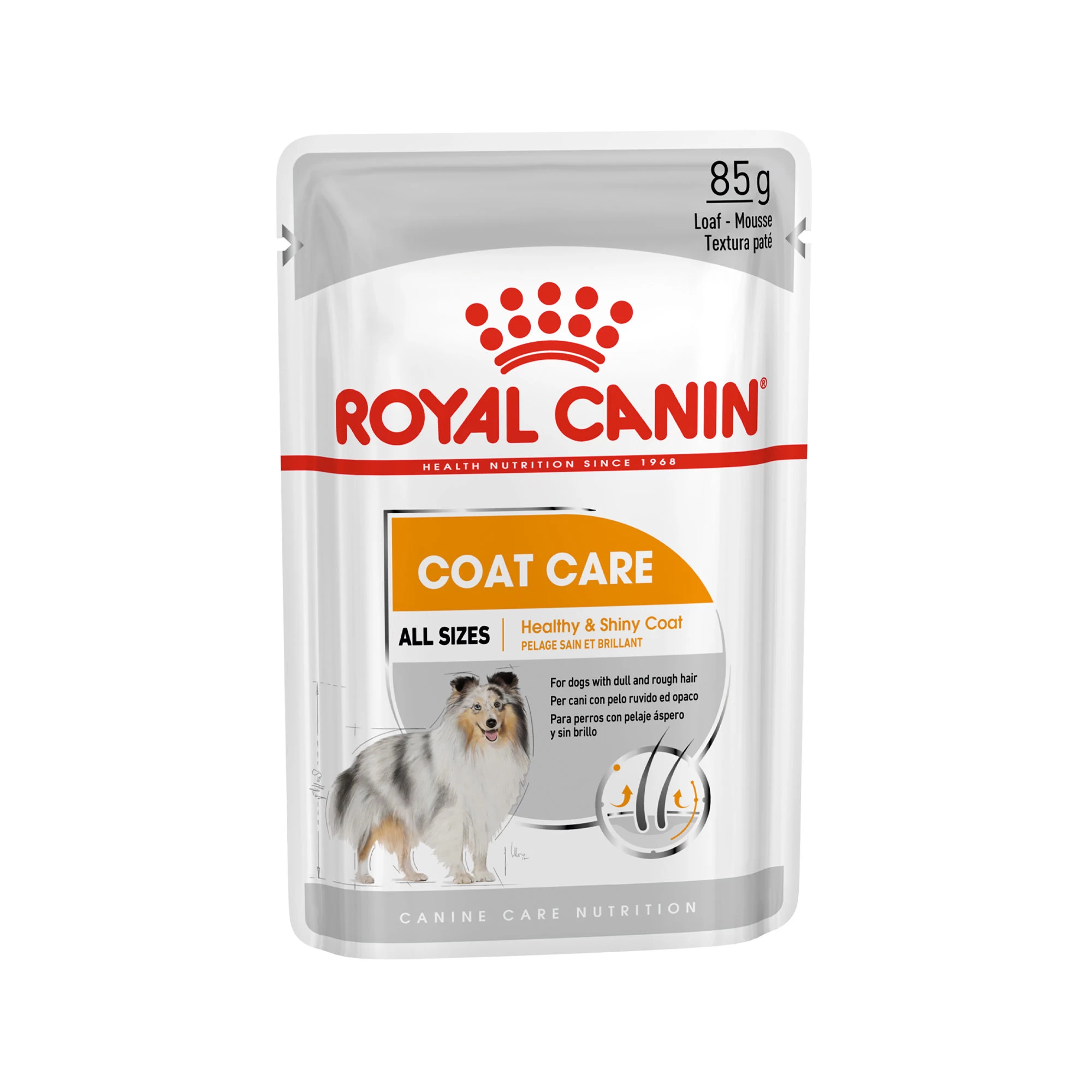 Royal Canin Coat Care Wet - Hondenvoer 3 Royal Canin Coat Care Wet - Hondenvoer - Afbeelding 3