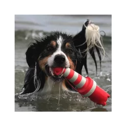 Rogz Lighthouse -HondenTopDeals product rogz lighthouse none 4 1485526267 82936