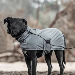 Kentucky Dogwear Soft Rubber Hondenhalsband -HondenTopDeals qLjnrVJgYTxtxvyIvq6EP9iVPkwKLR metaS2VudHVja3ktRG9nd2Vhci1Tb2Z0LVJ1YmJlci1Ib25kZW5oYWxzYmFuZC16d2FydC1zZmVlci0yLnBuZw