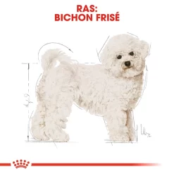 Royal Canin Bichon Frisé Adult - Hondenvoer -HondenTopDeals royal canin bichon fris adult hondenvoer 137359 1000 none