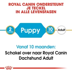 Royal Canin Dachshund Puppy - Hondenvoer -HondenTopDeals royal canin dachshund puppy hondenvoer 138325 1000 none