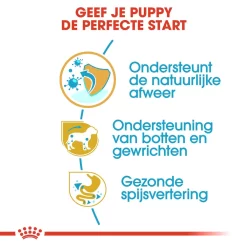 Royal Canin Dachshund Puppy - Hondenvoer -HondenTopDeals royal canin dachshund puppy hondenvoer 138343 1000 none