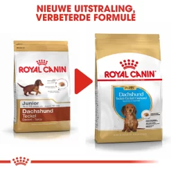 Royal Canin Dachshund Puppy - Hondenvoer -HondenTopDeals royal canin dachshund puppy hondenvoer 138370 1000 none
