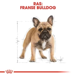 Royal Canin French Bulldog Adult - Hondenvoer -HondenTopDeals royal canin french bulldog adult hondenvoer 138628 1000 none