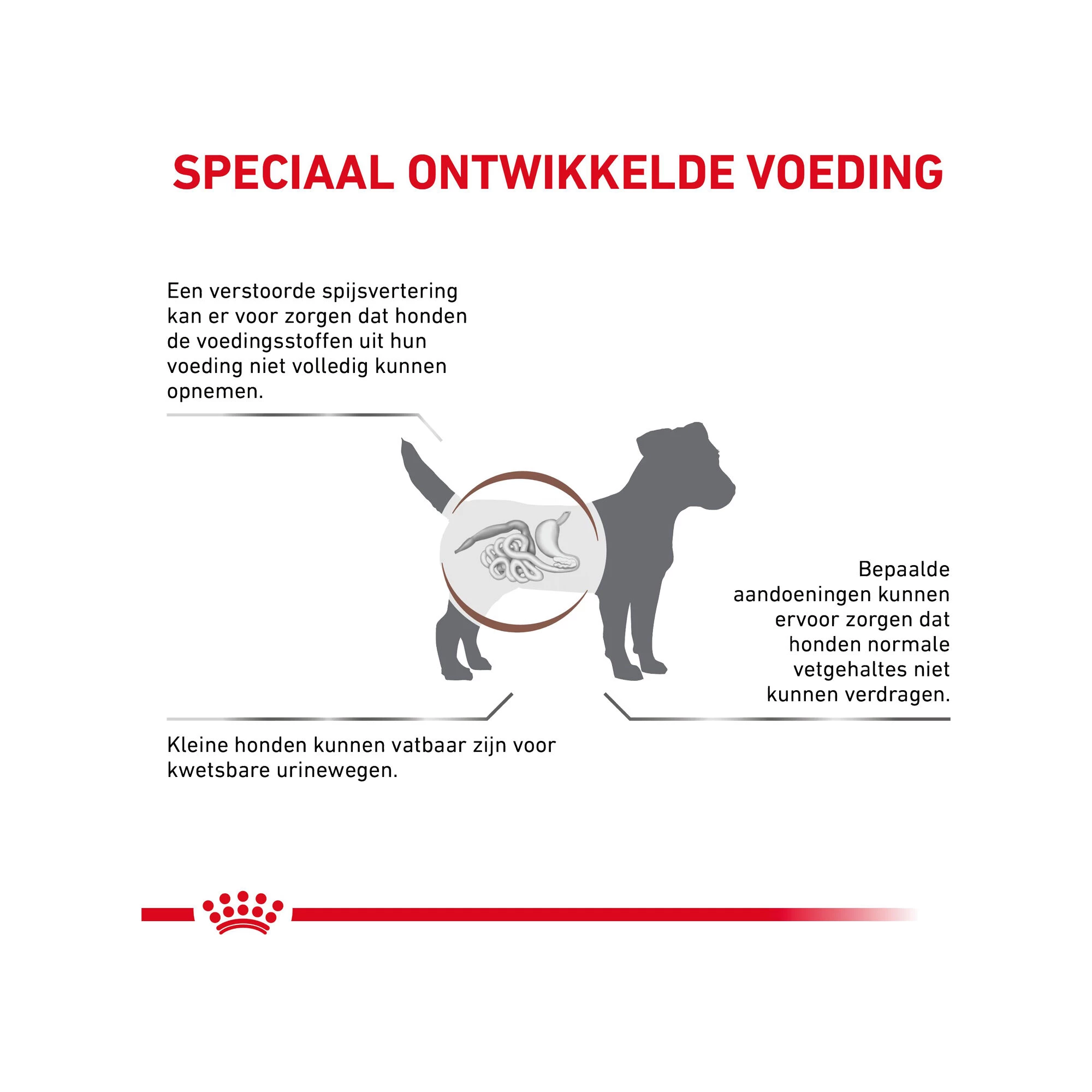 Royal Canin Gastrointestinal Low Fat Kleine Hond 4 Royal Canin Gastrointestinal Low Fat Kleine Hond - Afbeelding 4