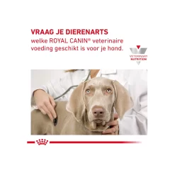 Royal Canin Gastrointestinal Low Fat Kleine Hond 18 Royal Canin Gastrointestinal Low Fat Kleine Hond -HondenTopDeals royal canin gastrointestinal low fat kleine hond 224105 2000 none
