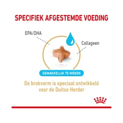 Royal Canin German Shepherd Adult 5+ 13 Royal Canin German Shepherd Adult 5+ -HondenTopDeals royal canin german shepherd adult 5 165100 2000 none