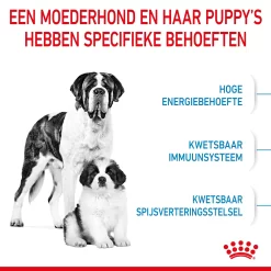 Royal Canin Giant Starter Mother & Babydog - Hondenvoer -HondenTopDeals royal canin giant starter mother babydog hondenvoer 206702 2000 none