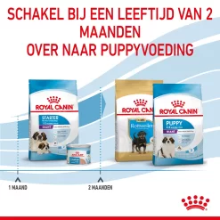 Royal Canin Giant Starter Mother & Babydog - Hondenvoer -HondenTopDeals royal canin giant starter mother babydog hondenvoer 206711 2000 none