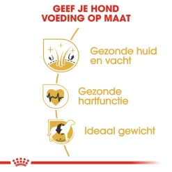 Royal Canin Golden Retriever Adult - Hondenvoer 13 Royal Canin Golden Retriever Adult - Hondenvoer -HondenTopDeals royal canin golden retriever adult hondenvoer 138895 1000 none