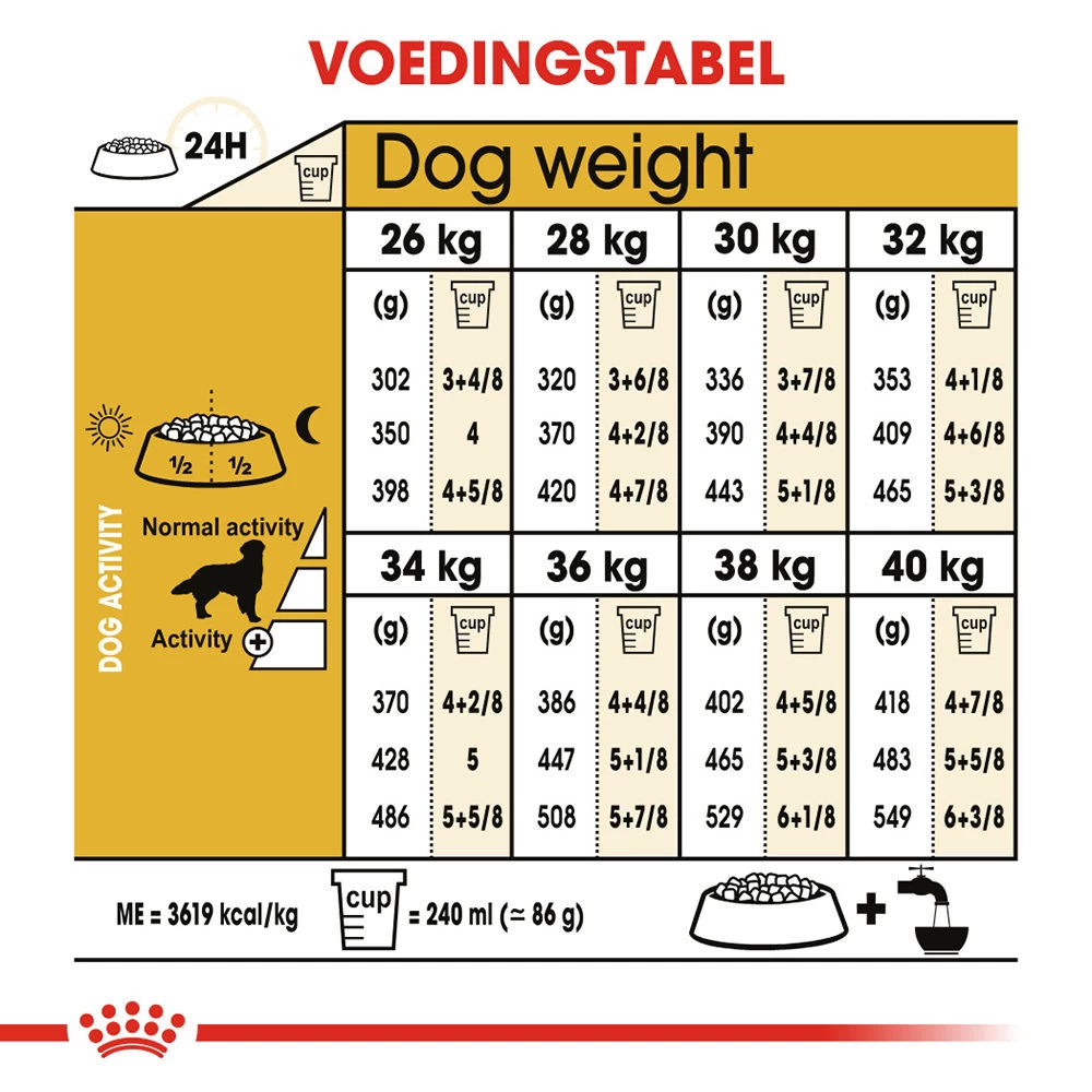 Royal Canin Golden Retriever Adult - Hondenvoer 8 Royal Canin Golden Retriever Adult - Hondenvoer - Afbeelding 8