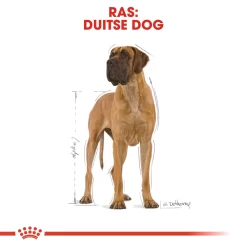 Royal Canin Great Dane Adult - Hondenvoer 13 Royal Canin Great Dane Adult - Hondenvoer -HondenTopDeals royal canin great dane adult hondenvoer 139000 1000 none