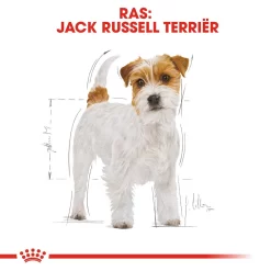 Royal Canin Jack Russell Terrier Adult - Hondenvoer -HondenTopDeals royal canin jack russell terrier adult hondenvoer 139066 1000 none