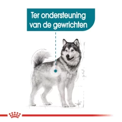 Royal Canin Maxi Joint Care - Hondenvoer -HondenTopDeals royal canin maxi joint care hondenvoer 132539 1000 none