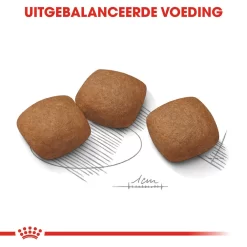 Royal Canin Maxi Joint Care - Hondenvoer -HondenTopDeals royal canin maxi joint care hondenvoer 132557 1000 none