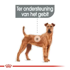 Royal Canin Medium Dental Care - Hondenvoer -HondenTopDeals royal canin medium dental care hondenvoer 144206 1000 none