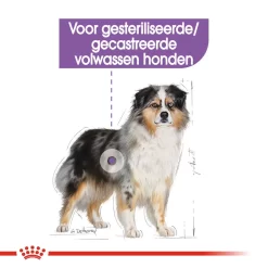 Royal Canin Medium Sterilised - Hondenvoer -HondenTopDeals royal canin medium sterilised hondenvoer 132917 1000 none