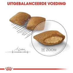 Royal Canin Mini Exigent - Hondenvoer -HondenTopDeals royal canin mini exigent hondenvoer 133184 1000 none