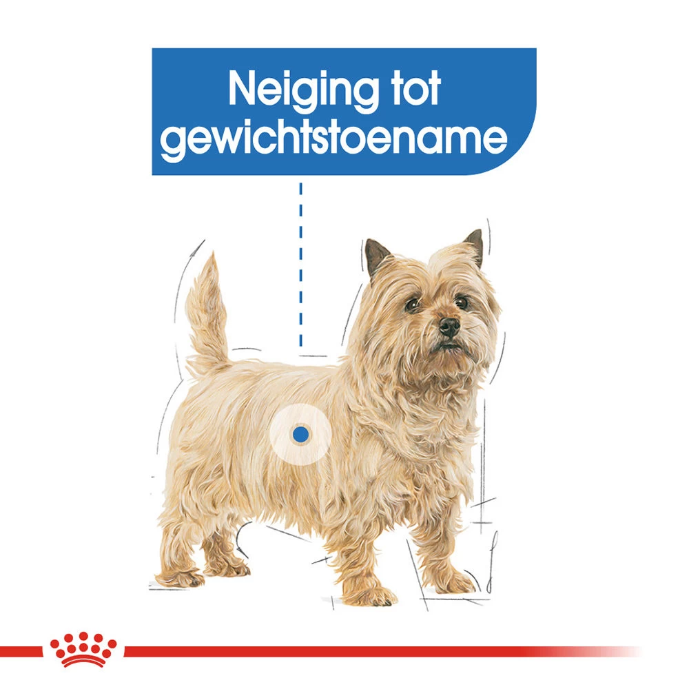 Royal Canin Mini Light Weight Care - Hondenvoer 7 Royal Canin Mini Light Weight Care - Hondenvoer - Afbeelding 7