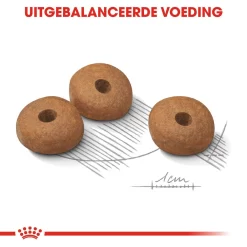 Royal Canin Mini Light Weight Care - Hondenvoer 21 Royal Canin Mini Light Weight Care - Hondenvoer -HondenTopDeals royal canin mini light weight care hondenvoer 132749 1000 none