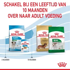 Royal Canin Mini Puppy - Hondenvoer -HondenTopDeals royal canin mini puppy hondenvoer 206960 2000 none