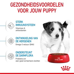 Royal Canin Mini Puppy - Hondenvoer -HondenTopDeals royal canin mini puppy hondenvoer 206966 2000 none
