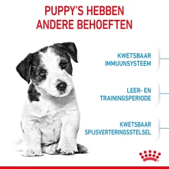 Royal Canin Mini Puppy - Hondenvoer -HondenTopDeals royal canin mini puppy hondenvoer 206969 2000 none