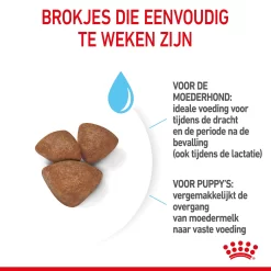Royal Canin Mini Starter Mother & Babydog - Hondenvoer -HondenTopDeals royal canin mini starter mother babydog hondenvoer 206996 2000 none