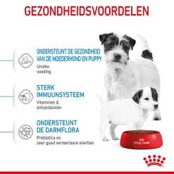 Royal Canin Mini Starter Mother & Babydog - Hondenvoer -HondenTopDeals royal canin mini starter mother babydog hondenvoer 206999 2000 none