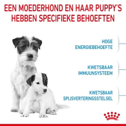 Royal Canin Mini Starter Mother & Babydog - Hondenvoer -HondenTopDeals royal canin mini starter mother babydog hondenvoer 207002 2000 none
