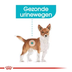 Royal Canin Mini Urinary Care - Hondenvoer -HondenTopDeals royal canin mini urinary care hondenvoer 131060 1000 none