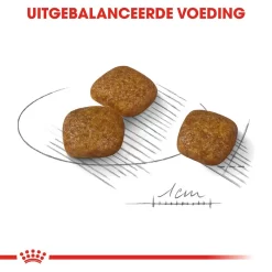 Royal Canin Mini Urinary Care - Hondenvoer -HondenTopDeals royal canin mini urinary care hondenvoer 131078 1000 none