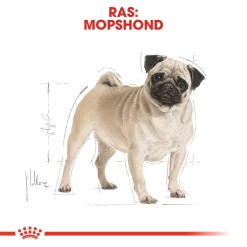 Royal Canin Pug Adult - Hondenvoer -HondenTopDeals royal canin pug adult hondenvoer 139804 1000 none