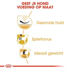 Royal Canin Pug Adult - Hondenvoer -HondenTopDeals royal canin pug adult hondenvoer 139822 1000 none
