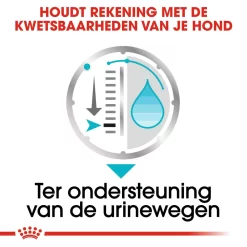 Royal Canin Urinary Care Wet - Hondenvoer -HondenTopDeals royal canin urinary care wet hondenvoer 131948 1000 none