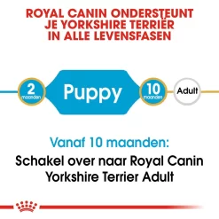 Royal Canin Yorkshire Terrier Puppy - Hondenvoer -HondenTopDeals royal canin yorkshire terrier puppy hondenvoer 140783 1000 none